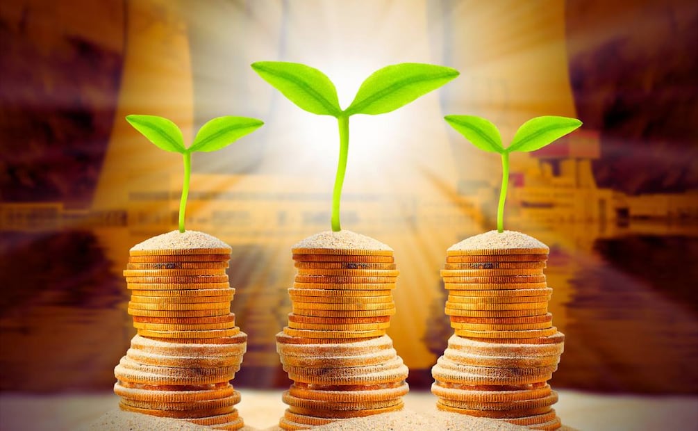 ¿Qué saber antes de invertir en CETES? (Foto: DeDinero)