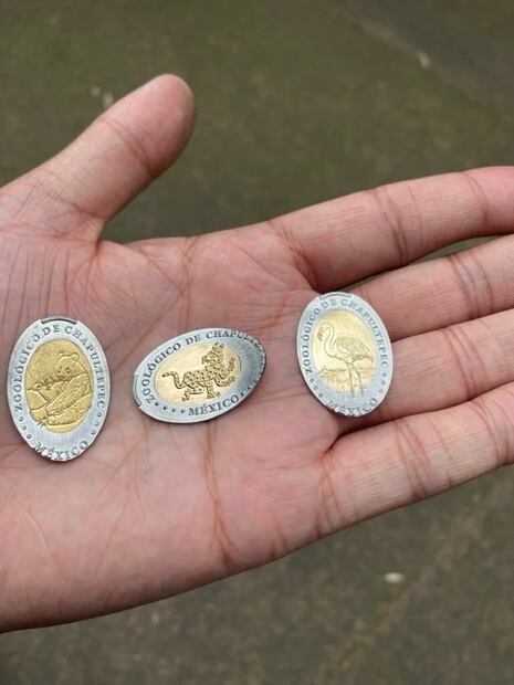 Monedas conmemorativas del Zoológico de Chapultepec. (Foto: Redes sociales)