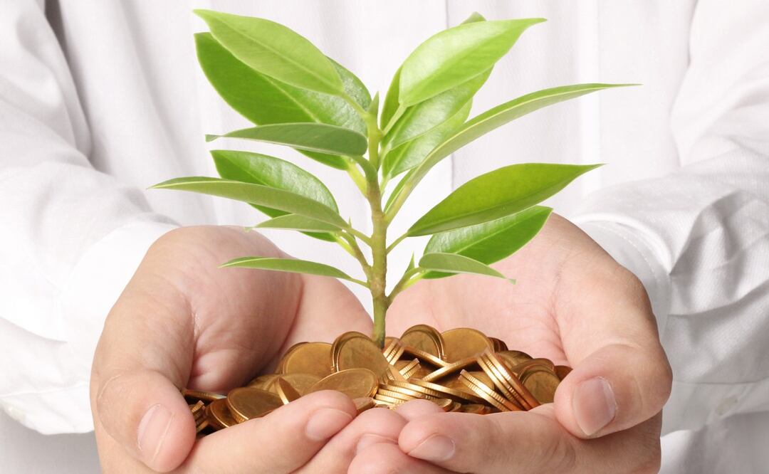 ¿Cómo tener salud financiera? (Foto: DeDinero)