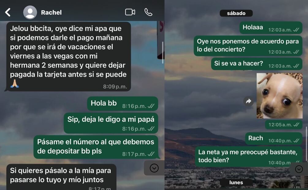Estafada por su amiga cuando quiso ir a concierto en el Estadio GNP (Foto: Captura de pantalla-X)