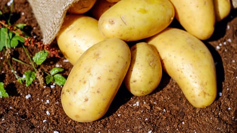 Dónde está más barata la papa Alfa: Profeco revela precios por kilo hasta 40 pesos en junio 2025