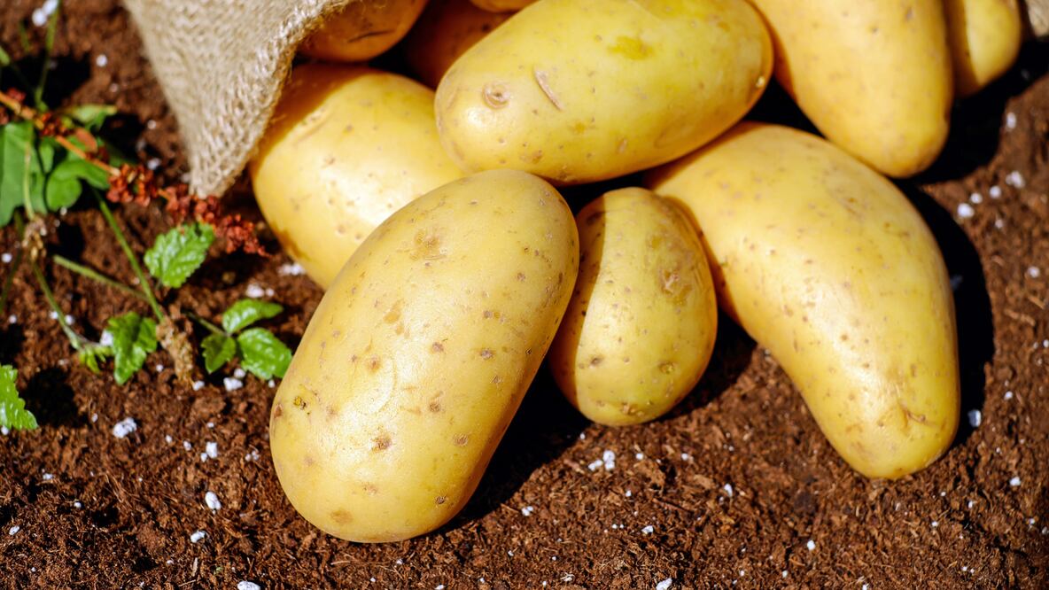 Precio de la papa en junio 2025 revelado por la revista del consumidor (Foto: Canva)