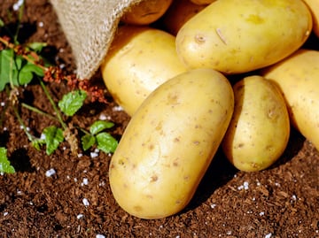 Dónde está más barata la papa Alfa: Profeco revela precios por kilo hasta 40 pesos en junio 2025