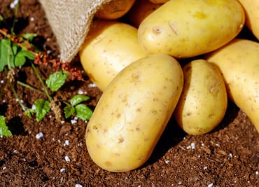 Dónde está más barata la papa Alfa: Profeco revela precios por kilo hasta 40 pesos en junio 2025