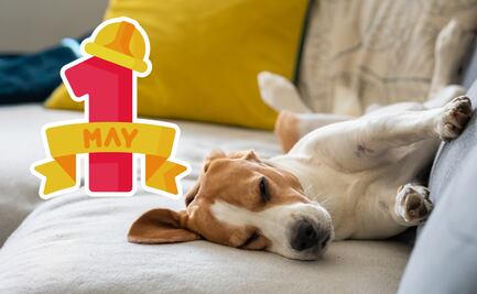 Cuándo se descansa por el 1 de mayo 2025; qué días no hay clases en México y megapuentes