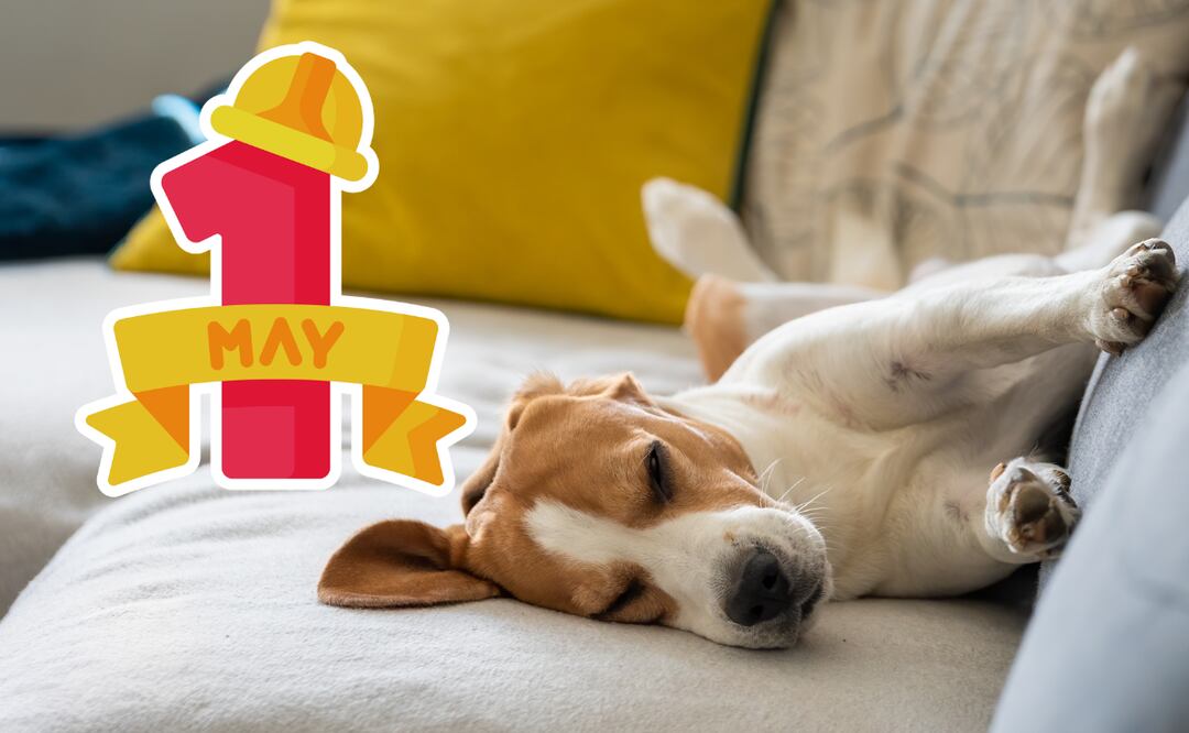 Descanso obligatorio por el 1 de mayo 2025 en México. (Foto: DeDinero)