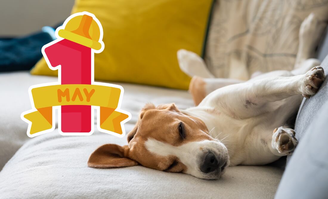 Descanso obligatorio por el 1 de mayo 2025 en México. (Foto: DeDinero)