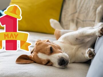 Cuándo se descansa por el 1 de mayo 2025; qué días no hay clases en México y megapuentes