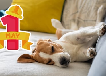 Cuándo se descansa por el 1 de mayo 2025; qué días no hay clases en México y megapuentes