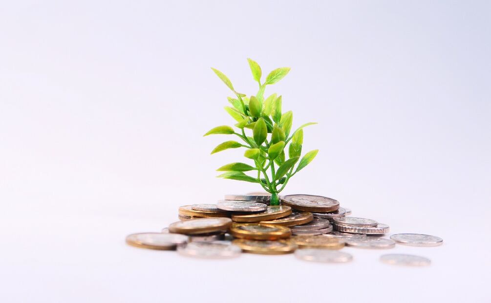 ¿Cuál es la inversión que da más rendimiento? (Foto: DeDinero)