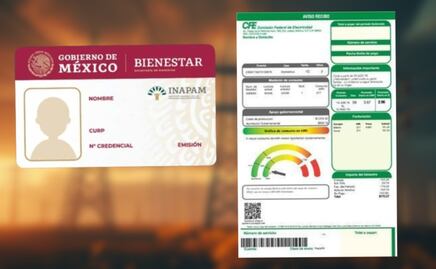 ¿CFE da descuento en la luz a adultos mayores con INAPAM? Esto es lo que sabemos