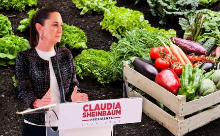 ¿Claudia Sheinbaum anuncia nuevo programa? Nace Alimentación para el Bienestar y Tiendas del Bienestar