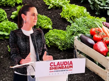 ¿Claudia Sheinbaum anuncia nuevo programa? Nace Alimentación para el Bienestar y Tiendas del Bienestar