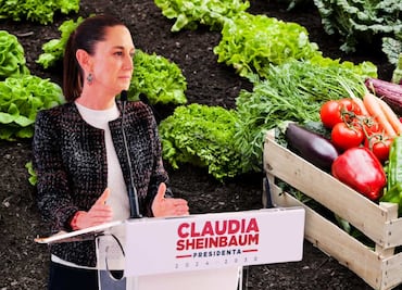 ¿Claudia Sheinbaum anuncia nuevo programa? Nace Alimentación para el Bienestar y Tiendas del Bienestar