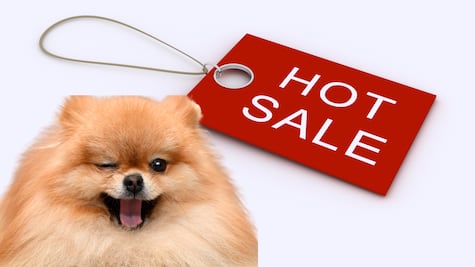 Hot Sale 2026 en México: La gran fiesta de descuentos ya tiene fecha oficial