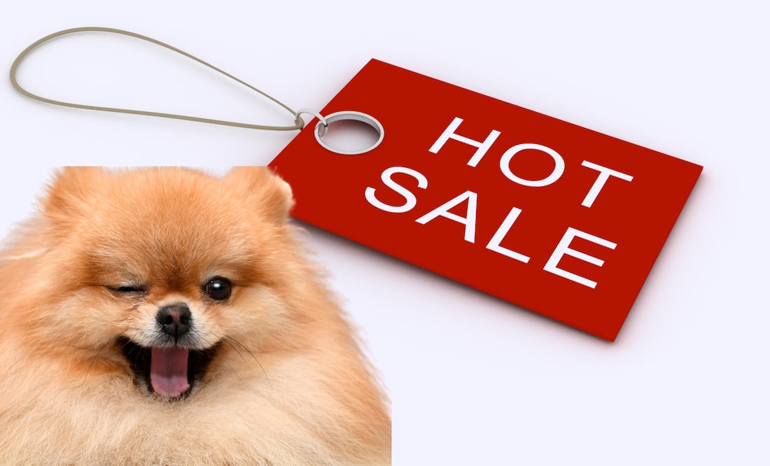 El Hot Sale 2026 se llevará a cabo del 25 de mayo al 2 de junio, con miles de productos en descuento tanto en tiendas digitales como físicas (Foto: Canva)