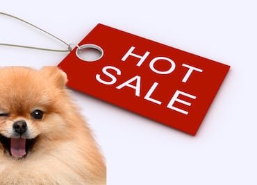 Hot Sale 2026 en México: La gran fiesta de descuentos ya tiene fecha oficial