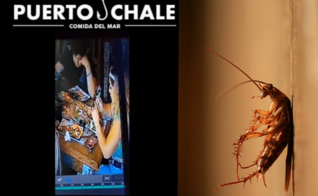 Conoce a la familia que se hizo viral por usar una cucaracha para no pagar la cuenta. (Foto: Captura de pantalla)