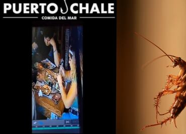 Lady cucaracha: Familia de Guadalajara expuesta en redes por usar insecto para no pagar la cuenta