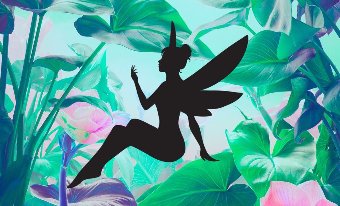 ¿Por qué la tendencia de las “hadas ricas” se volvió viral? (Foto: DeDinero)