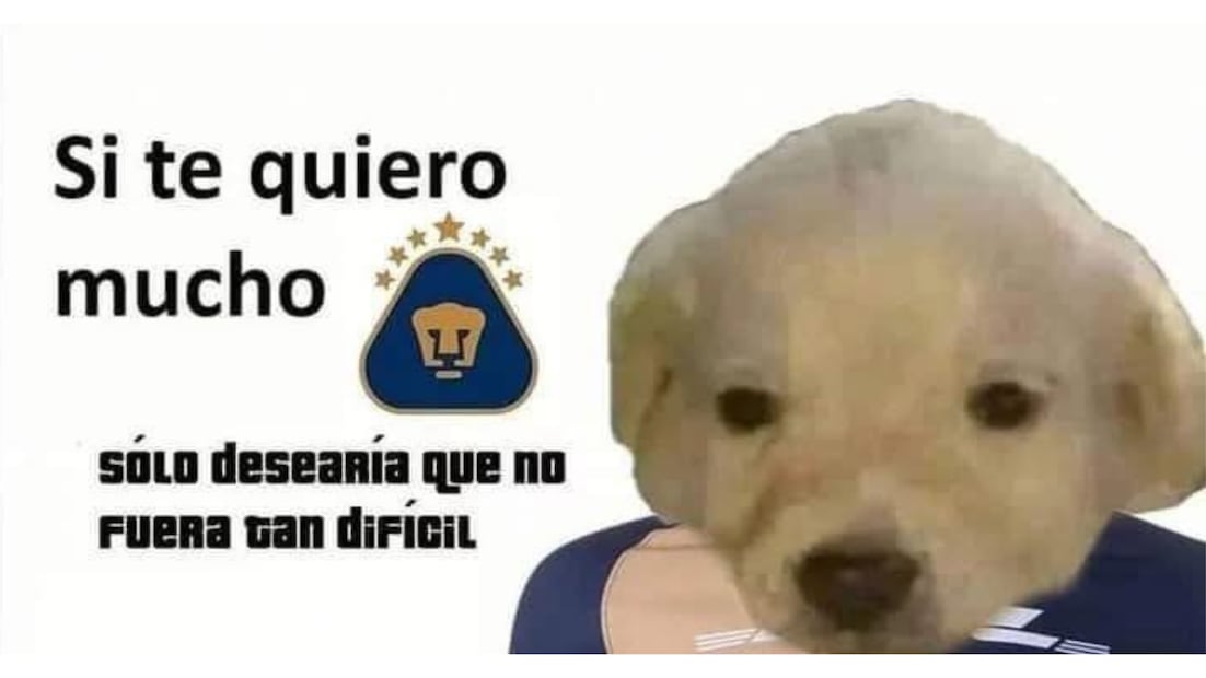 Cuánto cuesta ser fan de los Pumas en 2025 (Foto: Meme)