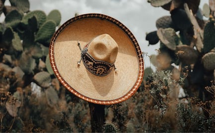 Programa del Bienestar con Claudia Sheinbaum: Trabajadores del campo y tiendas económicas