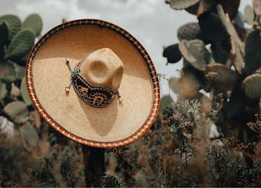 Programa del Bienestar con Claudia Sheinbaum: Trabajadores del campo y tiendas económicas