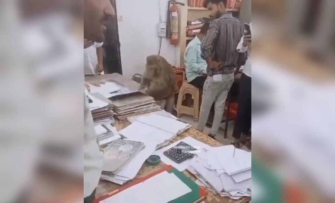 Reportan que el material se grabó en la ciudad de Saharanpur del estado de Uttar Pradesh. (Foto: Captura)