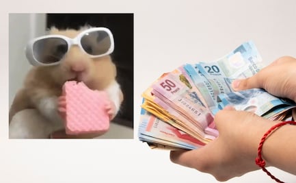 ¿Tu estilo de vida va acorde con tus ingresos? Descubre toda la verdad con este test