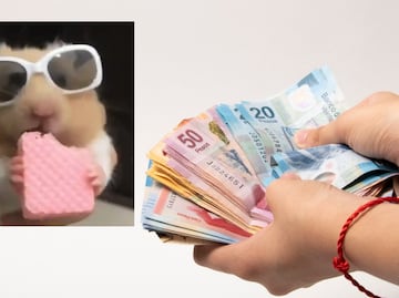 ¿Tu estilo de vida va acorde con tus ingresos? Descubre toda la verdad con este test