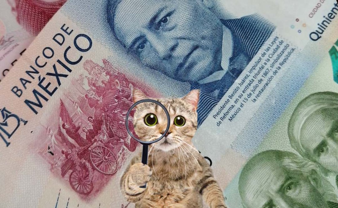 Deja de estirar la quincena y toma en cuenta estos puntos. (Foto: DeDinero)