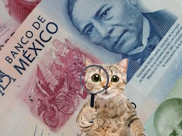 ¿Por qué ya no te alcanza el dinero? Te revelamos a la culpable