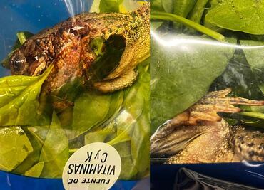 ¿Realmente están listos para comer? Encuentran una rana en bolsa de espinacas “desinfectadas”