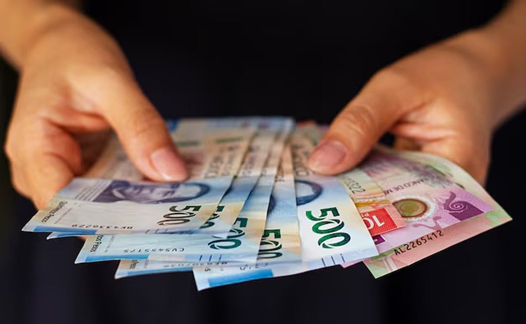 Descubre si eres de los beneficiarios que gozará del pago adelantado de la Pensión del Bienestar. (Foto: Captura de pantalla)