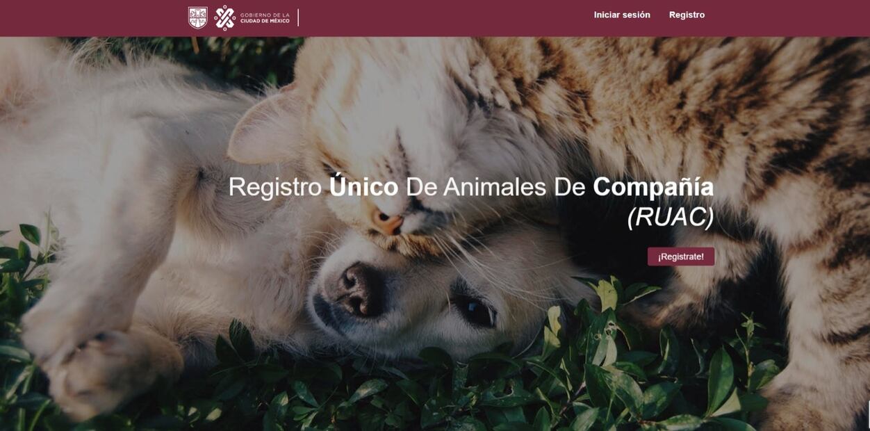 Cabe mencionar que el registro es obligatorio para todos los tutores responsables de mascotas en la CDMX. (Foto: DeDinero)