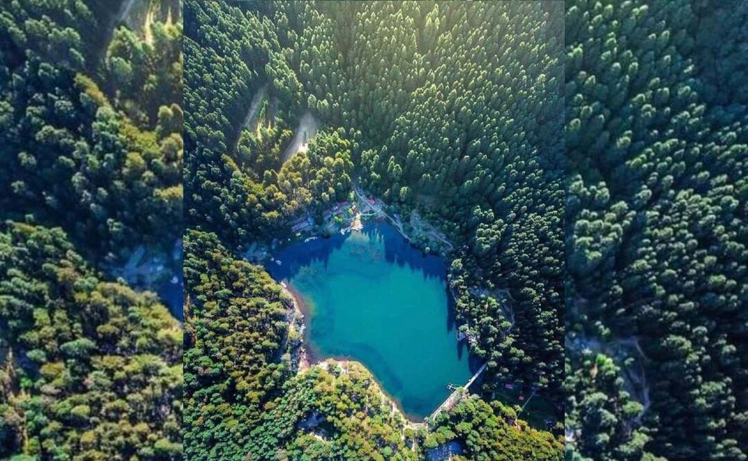 Cómo llegar al Parque El Cedral desde la CDMX (Foto: Facebook Parque El Cedral)