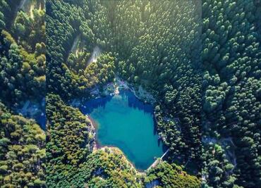 Cómo llegar al Parque El Cedral desde la CDMX y cuánto cuesta la entrada