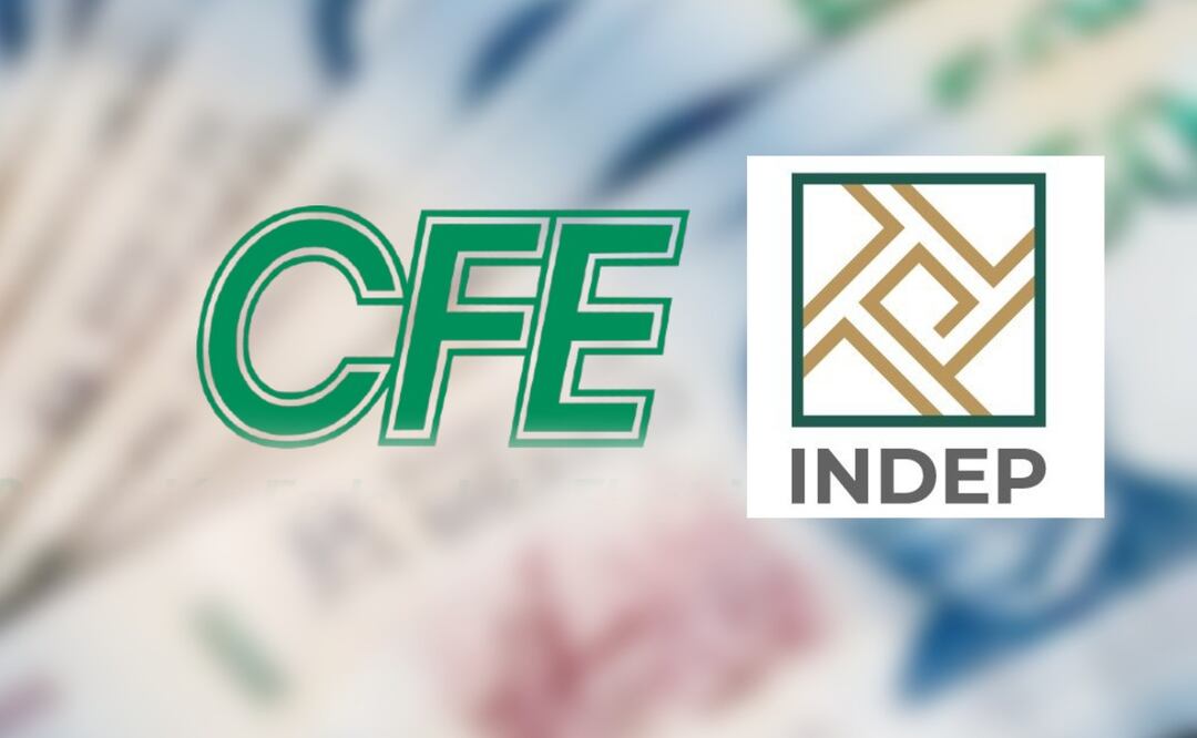 Ten cuidado, suplantan a la SEGOB, IDEP y CFE para estafas en línea. (Foto: DeDinero)