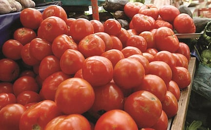 ¿Qué pasa con el jitomate? Profeco reporta alza en CDMX y área metropolitana