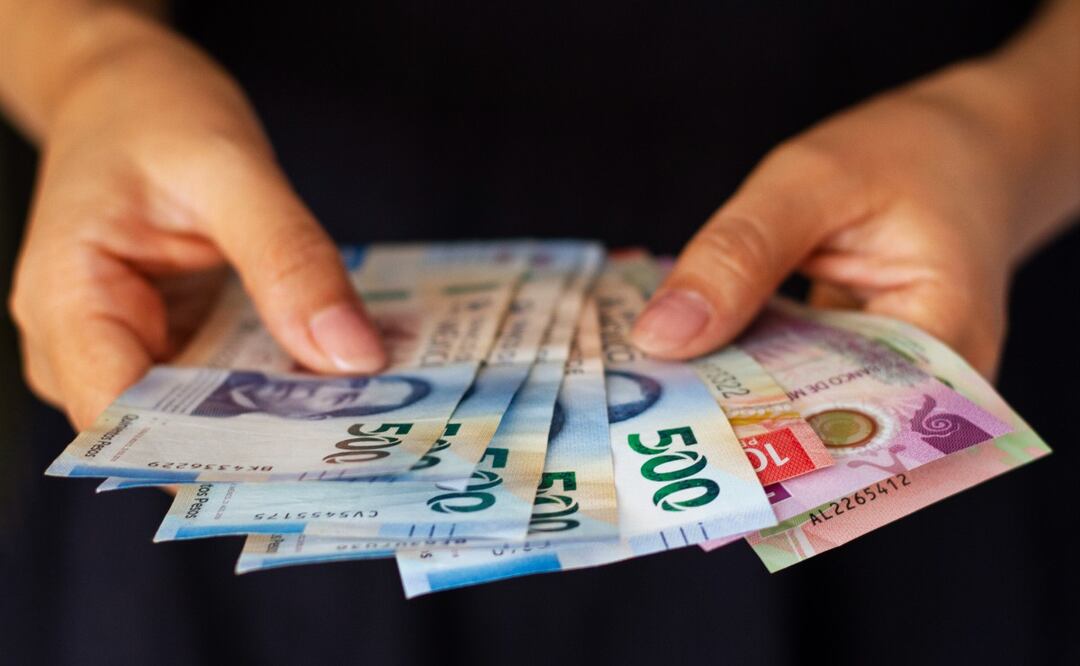 Diferencias del salario bruto y salario neto (Foto: Freepik)