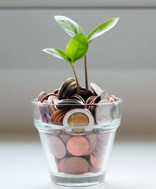Bonddia otorga rendimientos diarios por tus inversiones. (Foto: Unsplash)