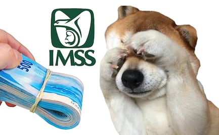 ¿IMSS cancela aguinaldo 2024 para jubilados? Confusión y lo que realmente está pasando