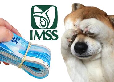 ¿IMSS cancela aguinaldo 2024 para jubilados? Confusión y lo que realmente está pasando