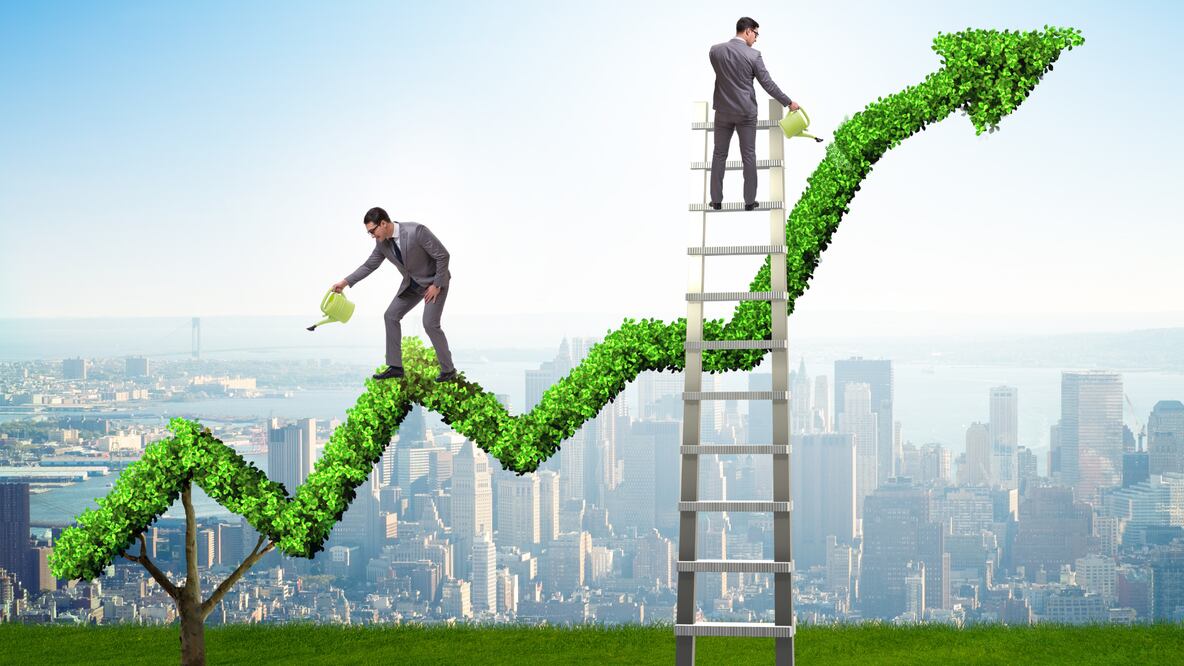 El dinero de tu AFORE no se queda guardado, se invierte en diferentes instrumentos financieros para hacer crecer tu ahorro rumbo al retiro (Foto: Canva)