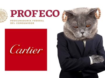 Ahora los pendientes son de Profeco, Cartier revive problema para los que compran en Ticketmaster