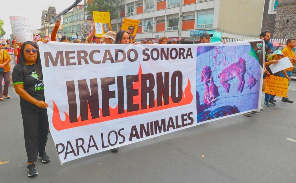 ¿Qué ley prohíbe la venta de animales vivos en la Ciudad de México? (Foto: Cuartoscuro)