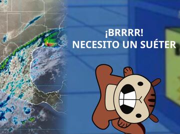 Trucos para mantener tu hogar calientito sin calefacción, por si el frío te hace decir "brrr"
