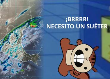 Trucos para mantener tu hogar calientito sin calefacción, por si el frío te hace decir "brrr"