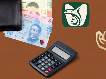 Calcula tu pensión: Tutorial para trabajadores del IMSS e ISSSTE en México