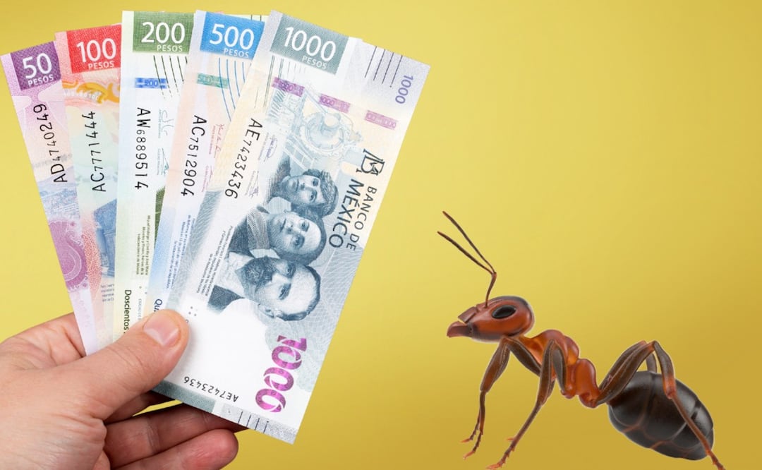 ¿Tus hijos hacen gastos hormiga? Condusef revela cómo evitar que estos hábitos afecten su futuro financiero. (Foto: Canva)